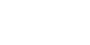 Client 17 logo